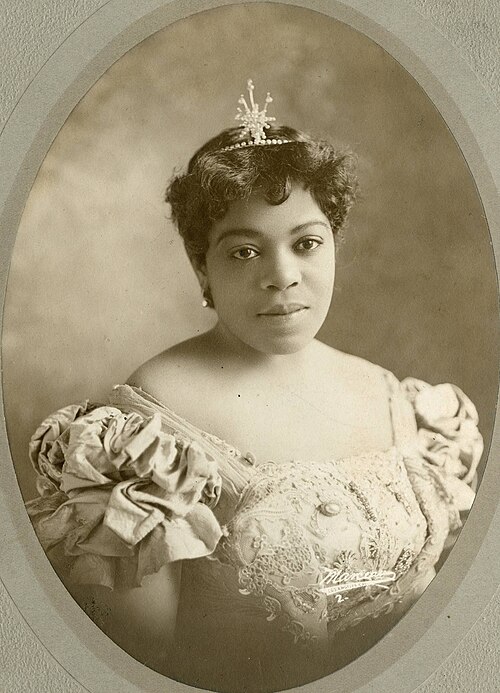 File:Black Patti, stage singer (SAYRE 7398).jpg
