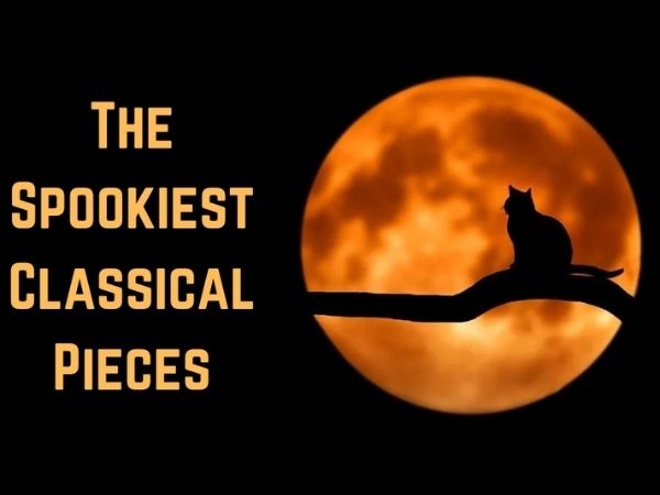 Cat in front of the moon